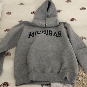 Champion university of Michigan hoodie